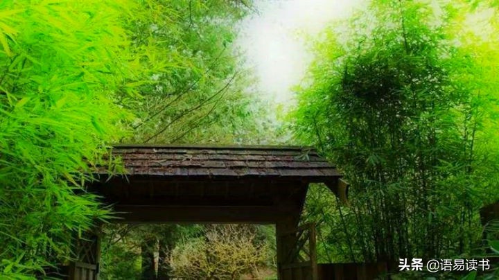 王维竹里馆意境赏析（竹里馆原文及翻译注释） 第3张