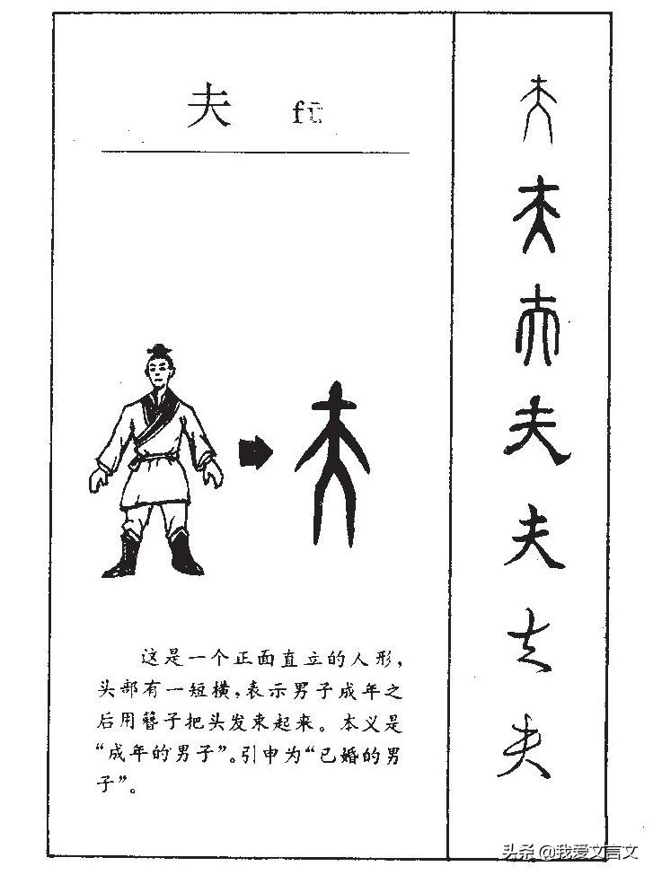 三人成虎文言文翻译及注释（三人成虎文言文启示） 第5张