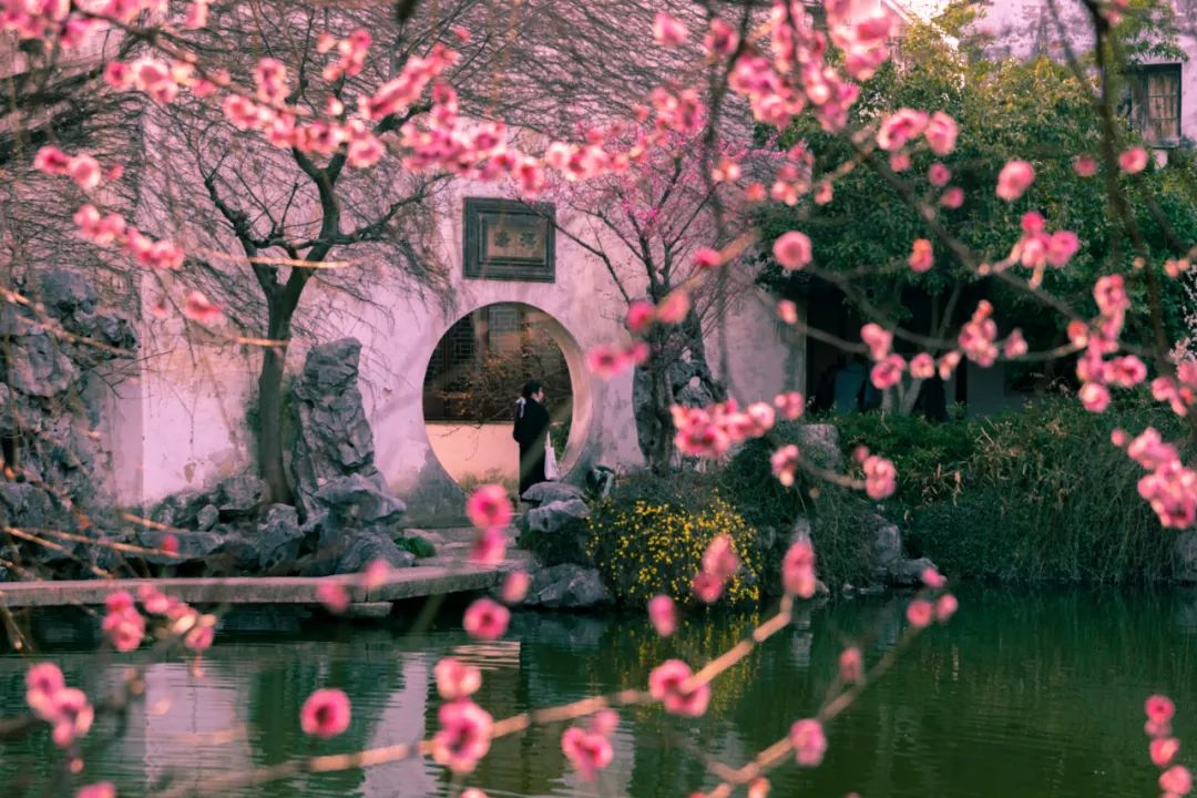 七夕的诗句最有名的（七夕诗词名句大全） 第17张