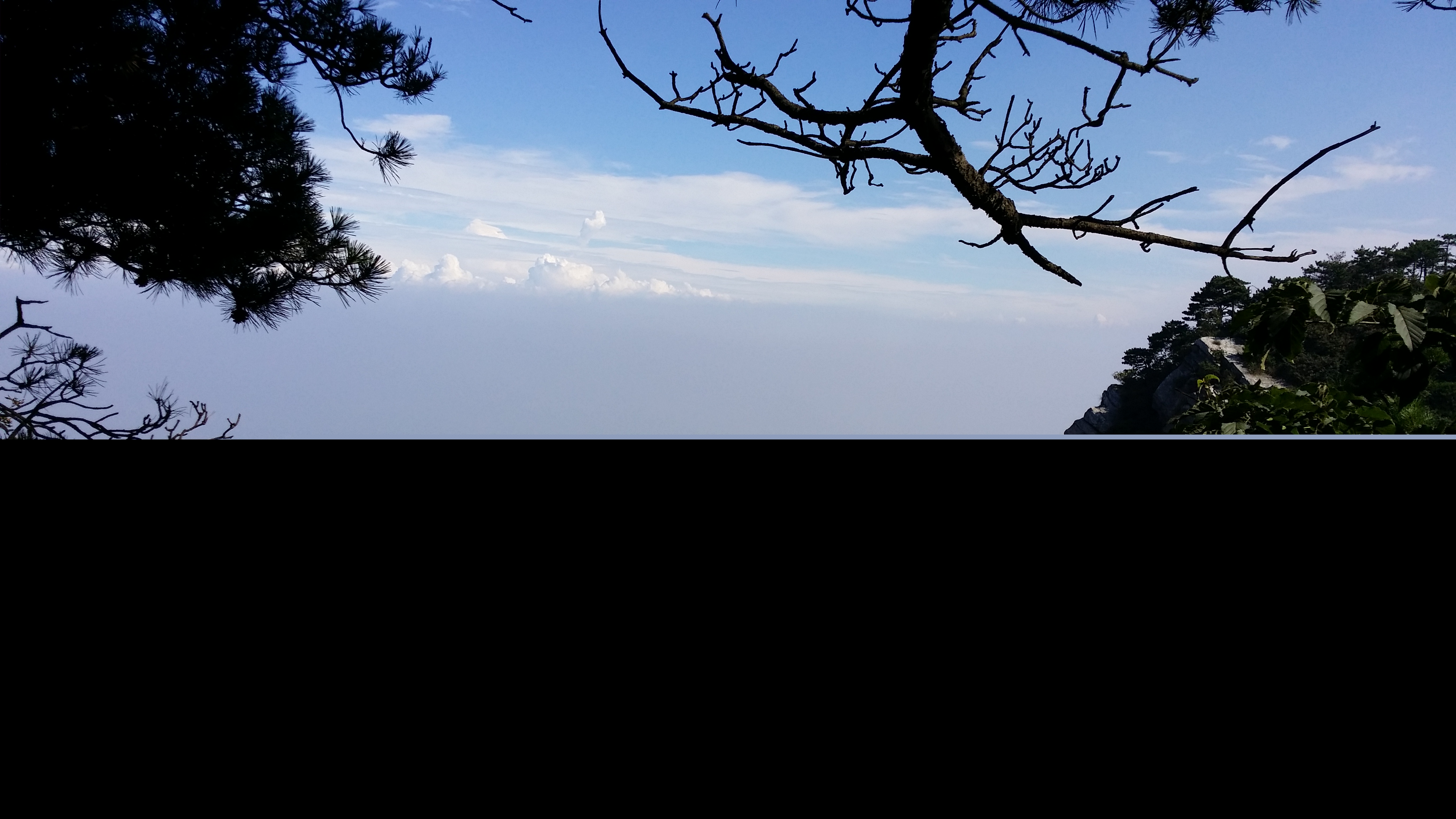 关于描写庐山的诗句（庐山诗词名句五言 ） 第1张