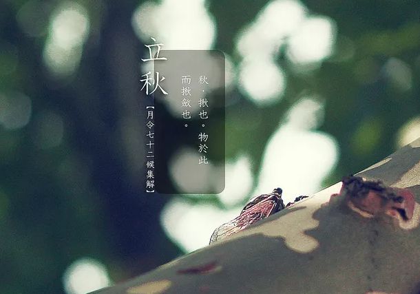 关于立秋唯美诗句（赞美立秋的优美诗词鉴赏） 第17张