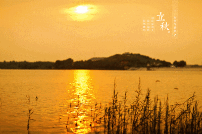 关于立秋唯美诗句（赞美立秋的优美诗词鉴赏） 第43张