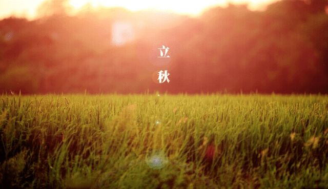 关于立秋唯美诗句（赞美立秋的优美诗词鉴赏） 第73张