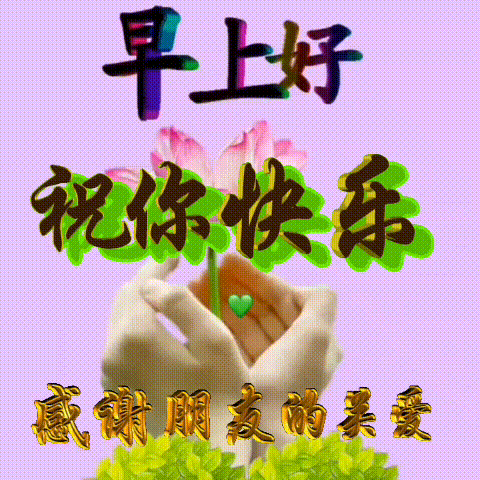 美好祝福文案（唯美简短的祝福语） 第17张