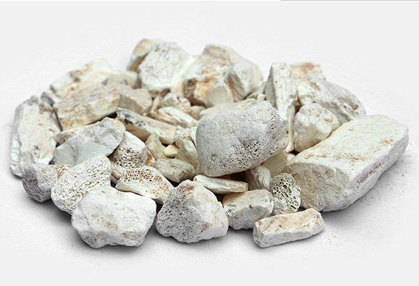 龙骨是什么药材？龙骨到底是什么动物的骨头 第3张