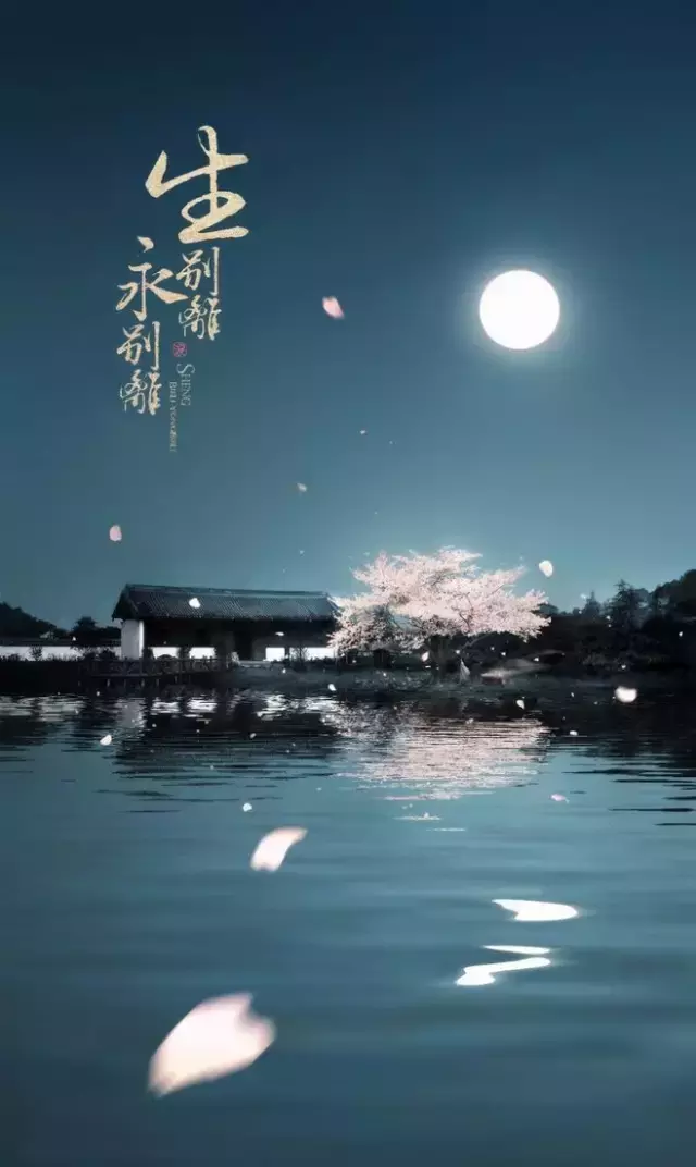 描写孤独的诗句有哪些（表达心情孤独寂寞的诗句） 第5张