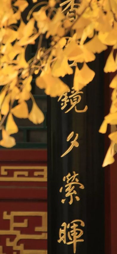 关于秋诗句经典寓意（秋天的诗句短句唯美） 第9张
