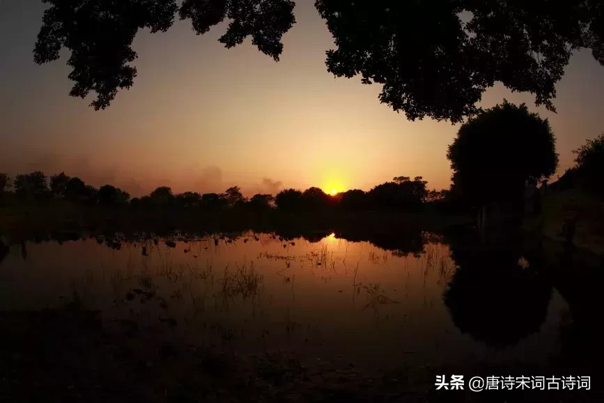 富有哲理的诗词古句（关于蕴含哲理的古诗） 第15张