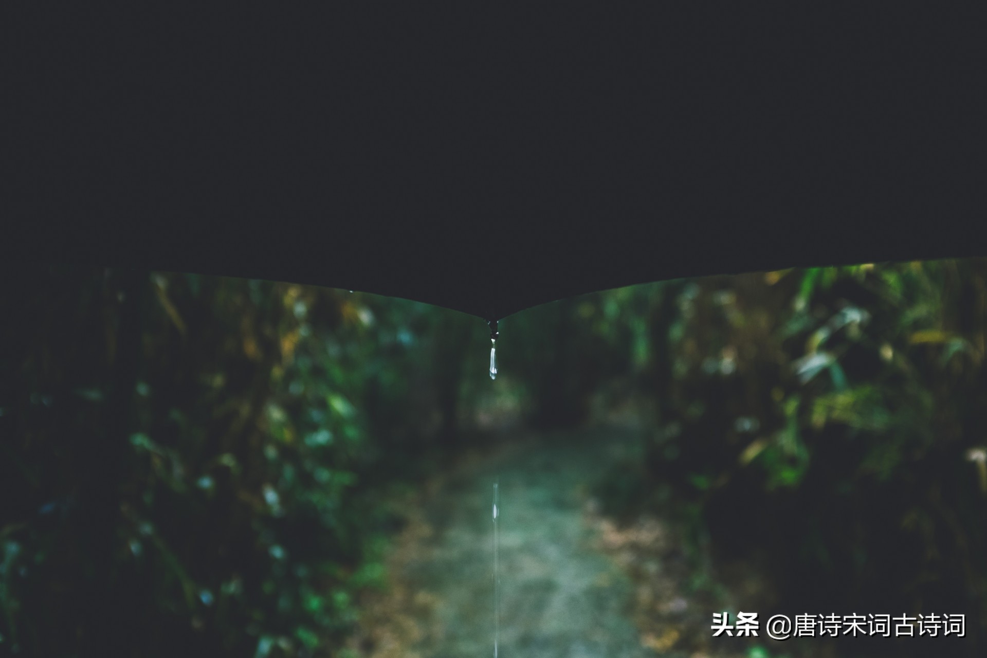 关于雨的诗歌有哪些（描写雨的诗词欣赏） 第3张