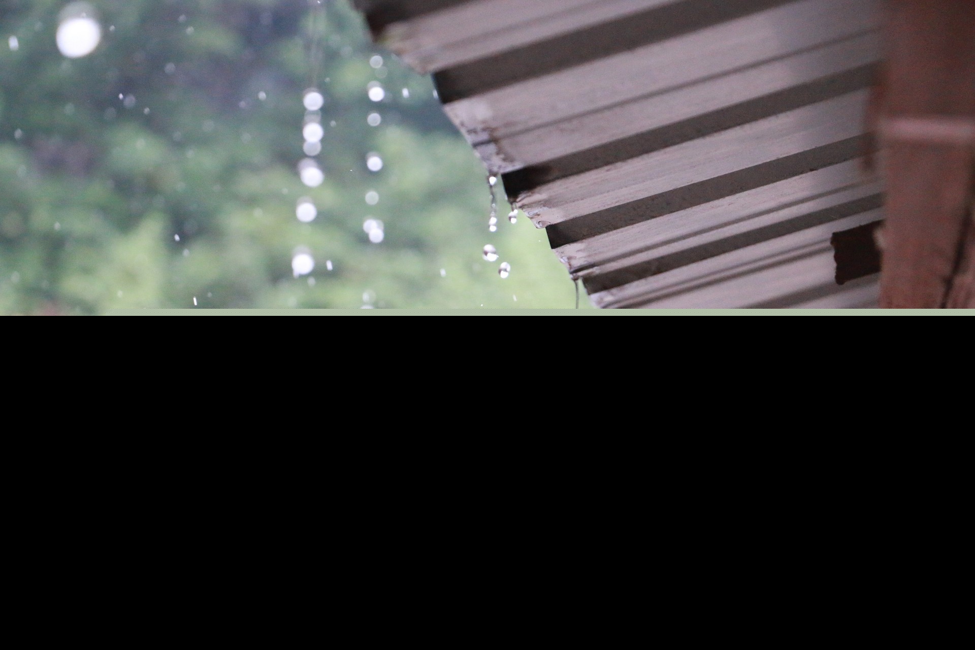 关于雨的诗歌有哪些（描写雨的诗词欣赏） 第5张