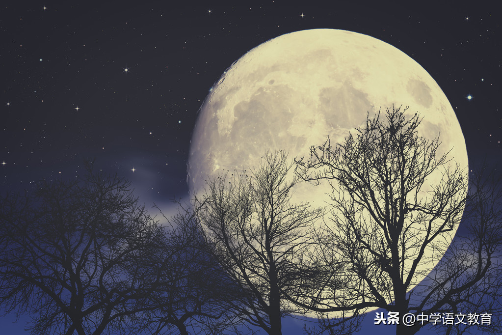 写月的诗句古诗大全（赞美月亮的诗句古诗） 第3张