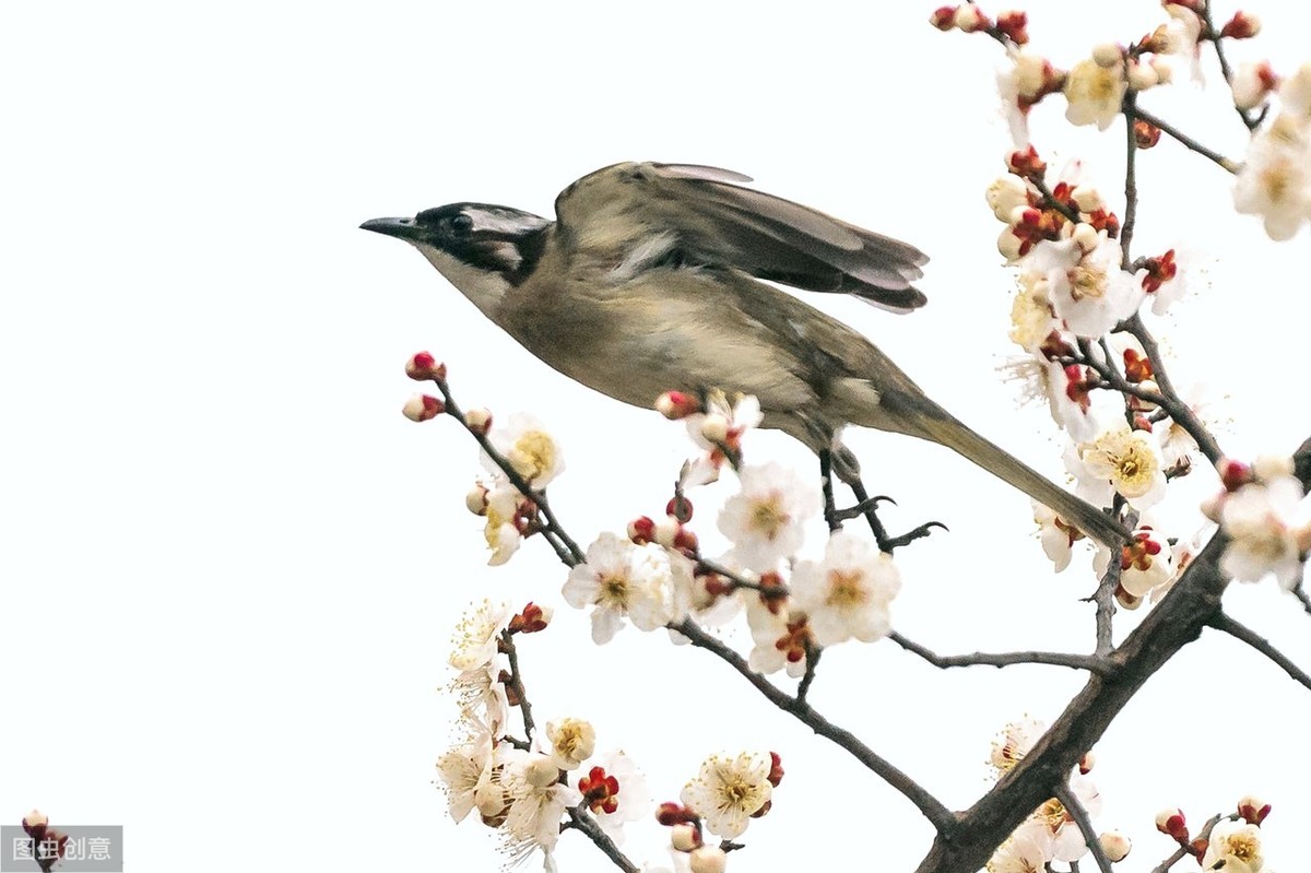 陶渊明诗集大全及解释（东晋归隐诗人陶渊明诗集大全） 第3张