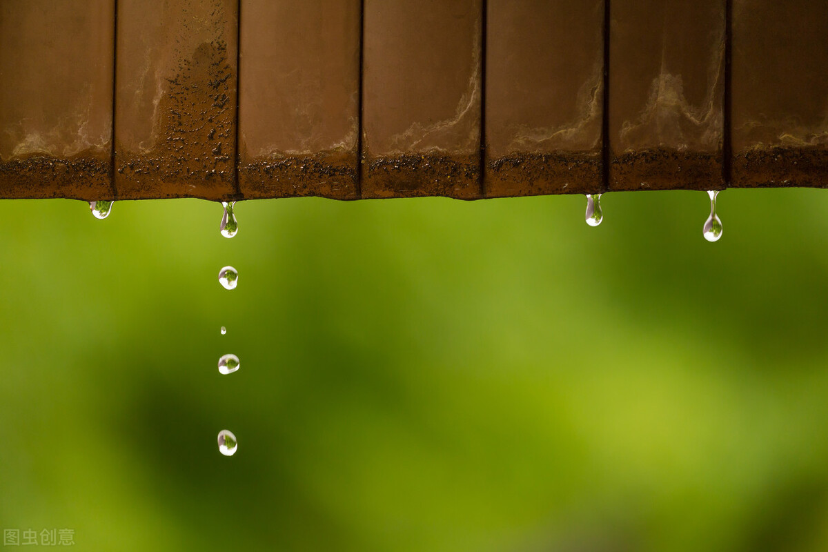 有关春雨的诗句有哪些（有关春雨的古诗句） 第1张