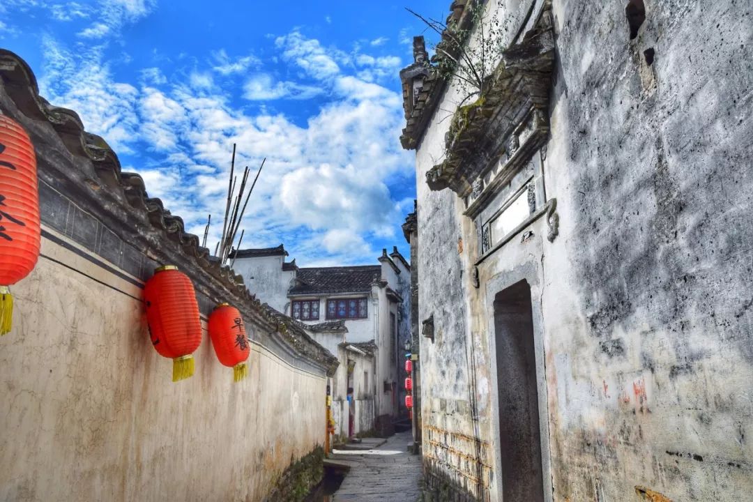 关于重阳的诗句有什么（描写重阳节的诗词鉴赏） 第3张