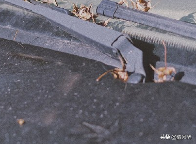告白的话怎么说（瞬间俘获女孩的短句） 第1张