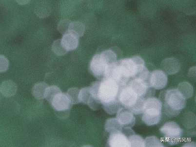 告白的话怎么说（瞬间俘获女孩的短句） 第3张