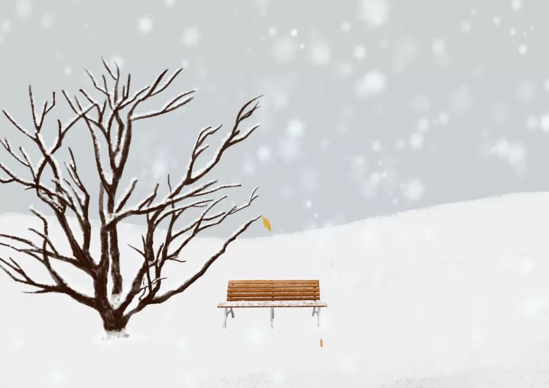 赞美雪景的诗句（关于赏雪的优美诗句） 第13张