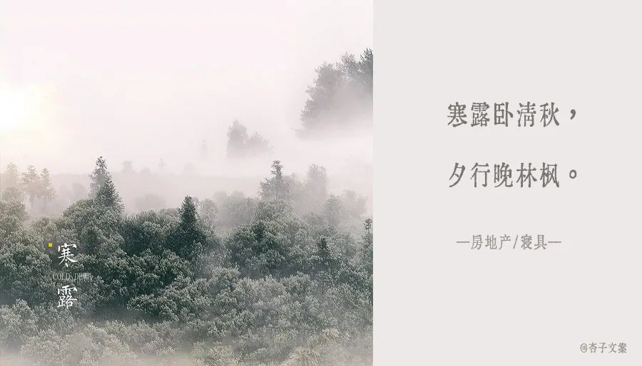 寒露文案节气简短（关于寒露的文案赏析） 第3张