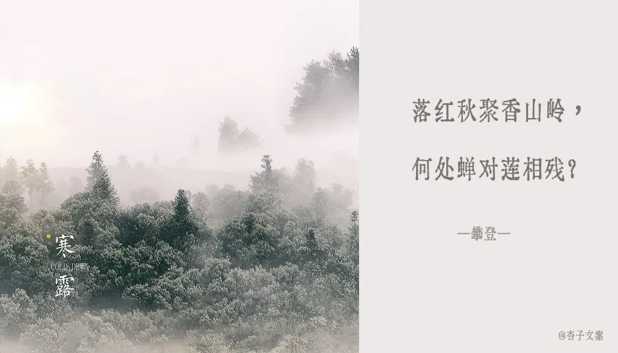 寒露文案节气简短（关于寒露的文案赏析） 第9张