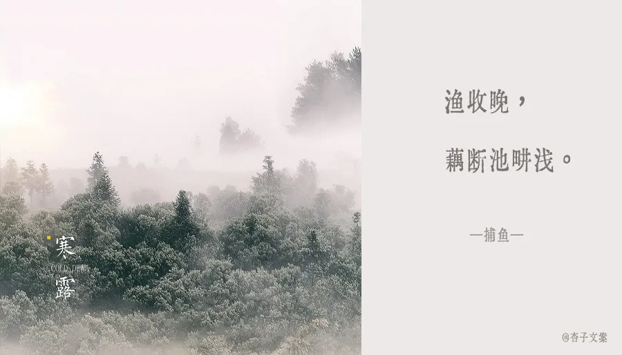 寒露文案节气简短（关于寒露的文案赏析） 第23张