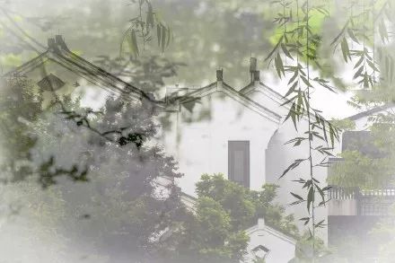 关于树木的诗句有哪些（歌颂树木的诗词鉴赏） 第41张