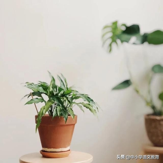 醉翁亭记原文及翻译注释（醉翁亭记原文赏析） 第9张