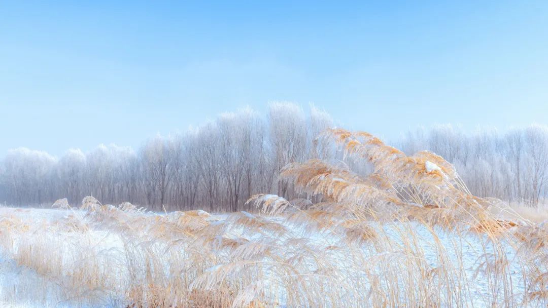 雪的诗句古诗大全（赞美冬雪的诗句古诗） 第3张