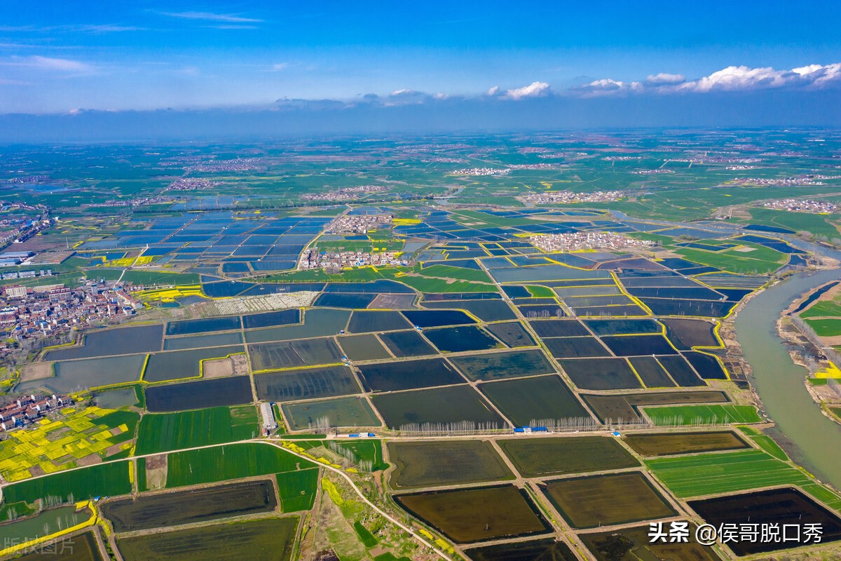 国家支持乡村振兴，在农村最赚钱最有前景的9大行业，值得你收藏 第5张