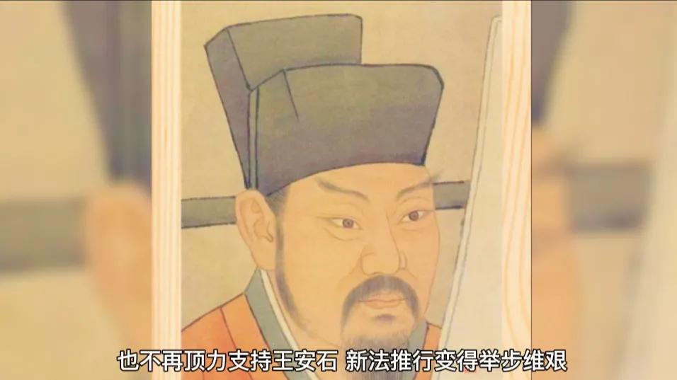 梅花古诗王安石古诗（梅花颂古诗王安石赏析） 第3张