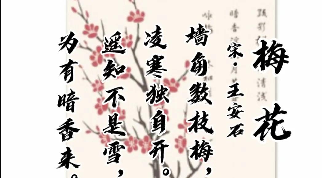 梅花古诗王安石古诗（梅花颂古诗王安石赏析） 第5张
