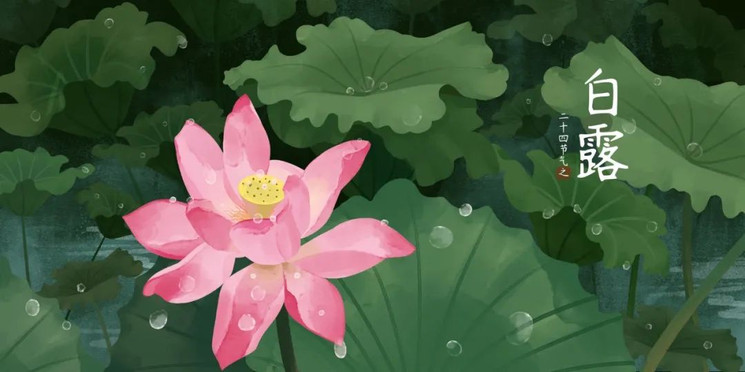 白露的诗句有哪些（白露节气古诗大全） 第9张