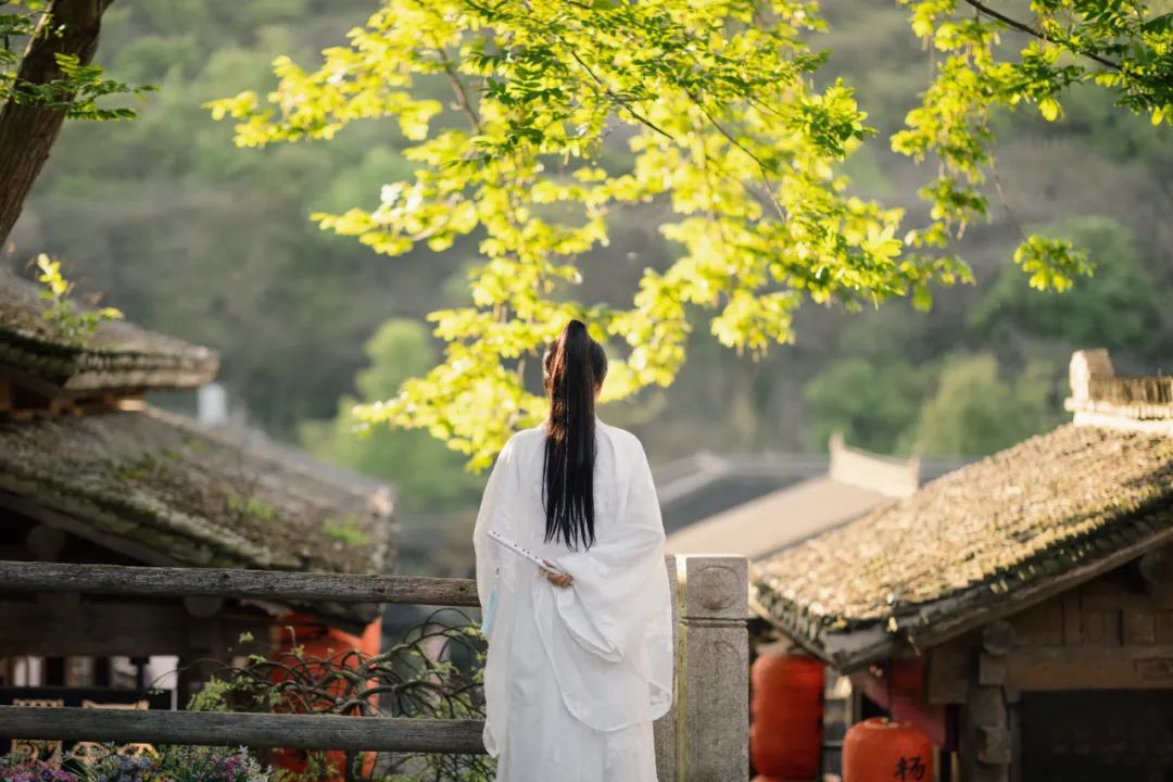 辛弃疾词集赏析十首（辛弃疾最出名十首诗词爱国诗） 第1张
