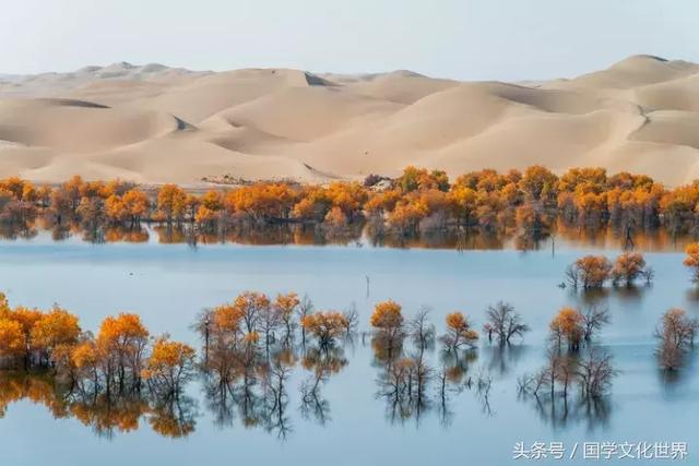 释怀是什么意思（自我释怀是种怎样的心态） 第5张