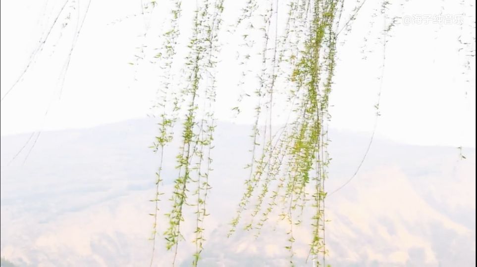 著名现代诗歌精选（五首最美的现代诗歌） 第1张