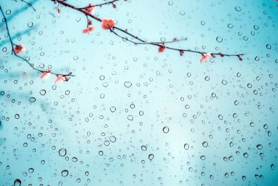 安慰人的诗句古诗（很暖很治愈的古诗赏析） 第1张