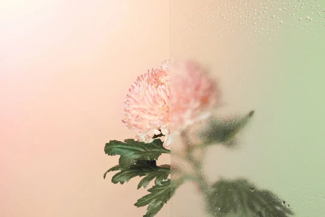 安慰人的诗句古诗（很暖很治愈的古诗赏析） 第9张