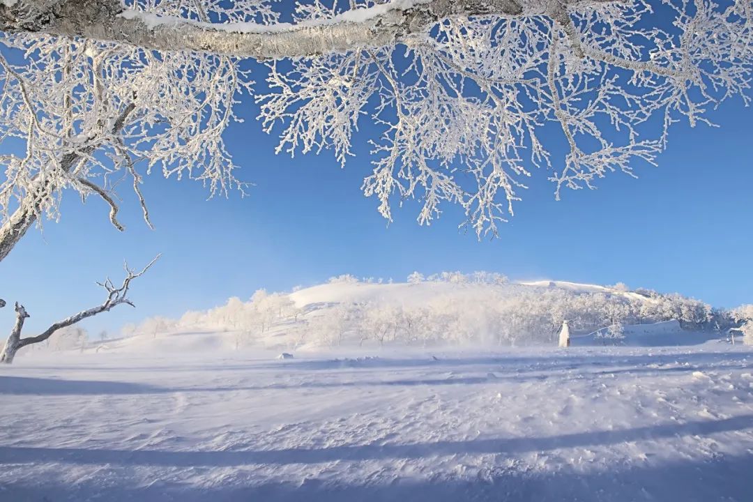 大雪节气古诗词鉴赏（大雪节气古诗词大全精选） 第3张