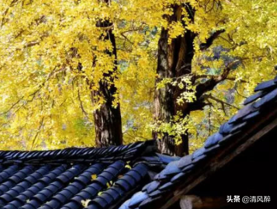 心烦的句子说说（说不出的压抑和心累） 第3张