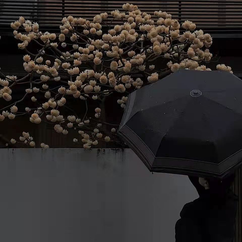 分手后的个性签名女生（高情商女人个性签名） 第15张