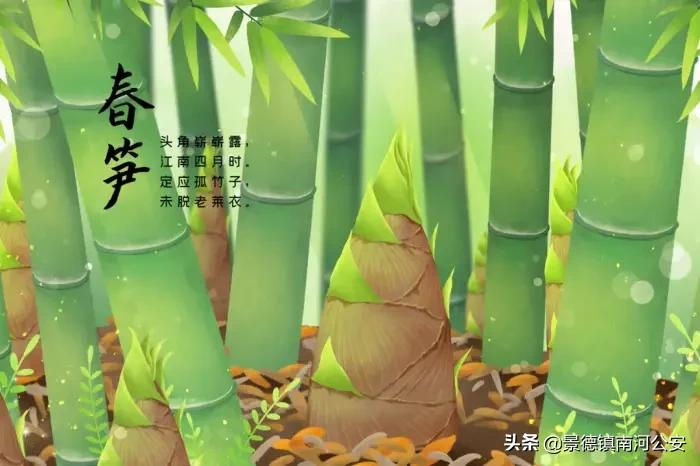 春天的诗句唯美简短（描写春天的绝美诗句） 第1张