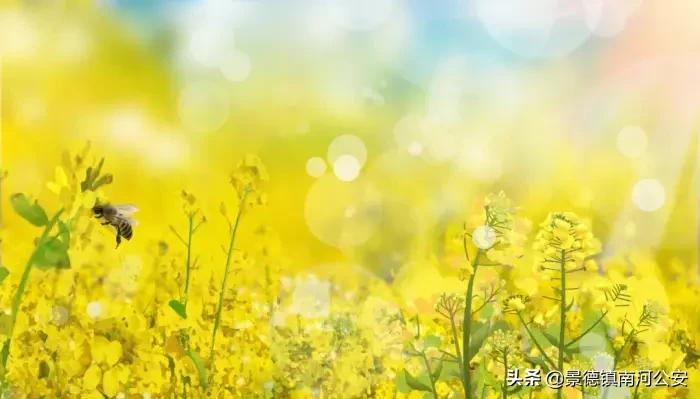 春天的诗句唯美简短（描写春天的绝美诗句） 第3张