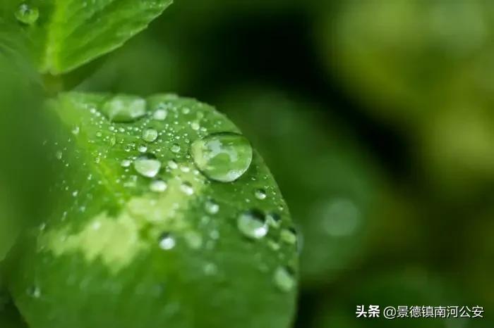 春天的诗句唯美简短（描写春天的绝美诗句） 第9张