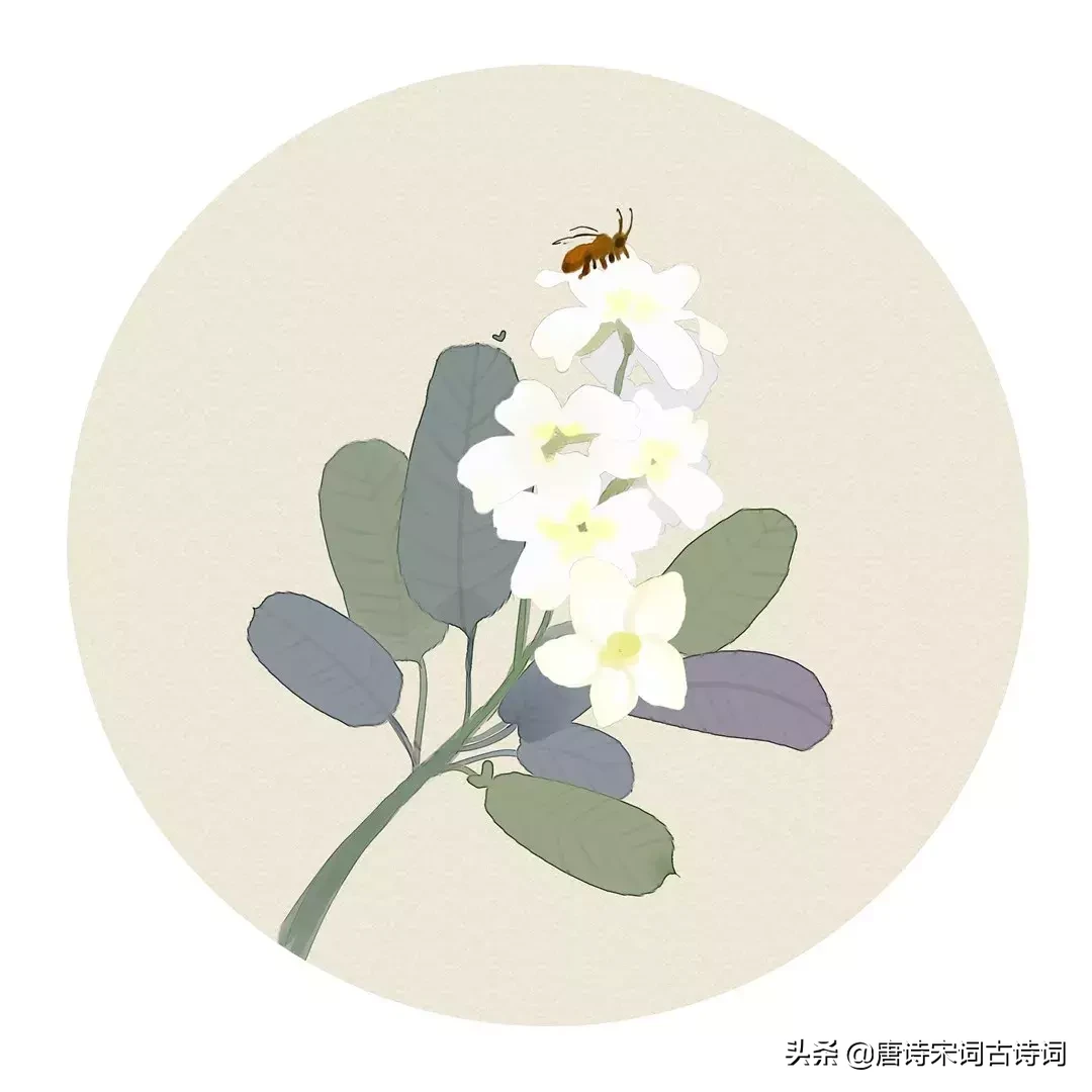 关于夏天的古诗大全（小学关于夏天的古诗） 第13张