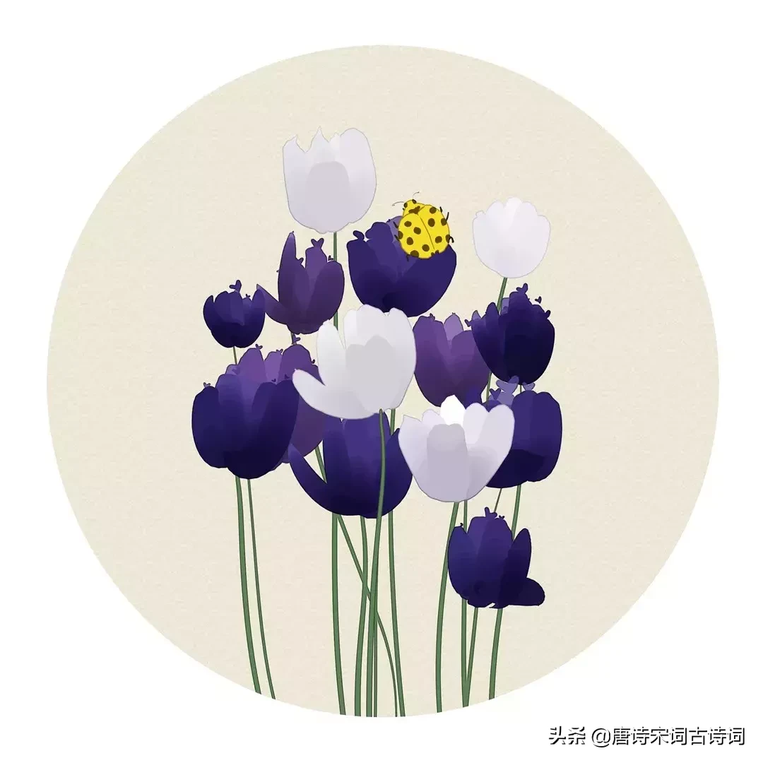 关于夏天的古诗大全（小学关于夏天的古诗） 第15张