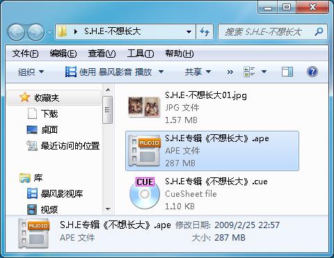 flac是什么格式的音乐（flac格式的播放器有哪些） 第7张