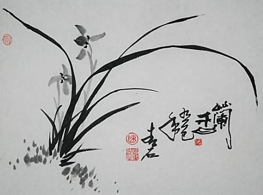 兰花的诗句赞美兰花的诗句（兰花的千古名句） 第21张