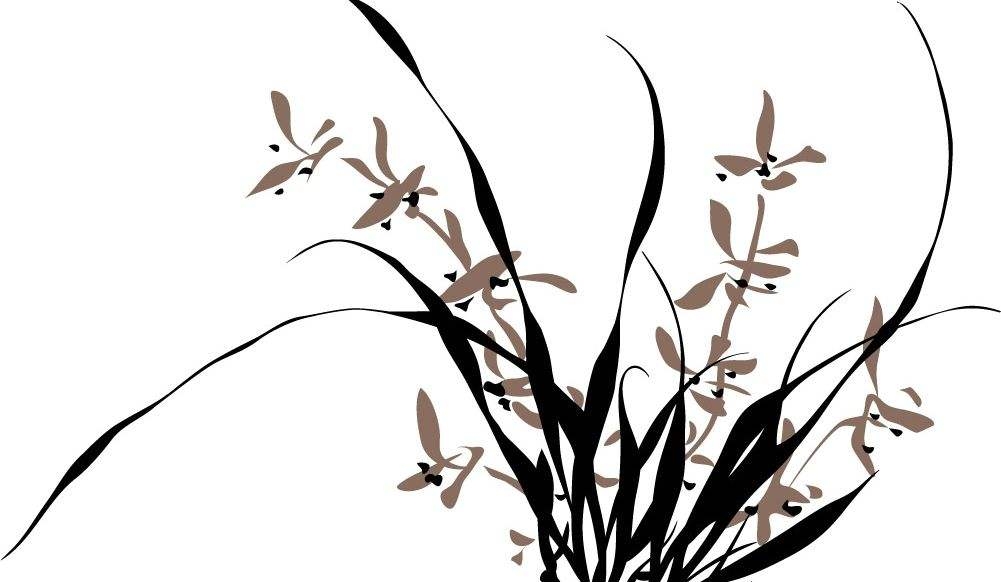 兰花的诗句赞美兰花的诗句（兰花的千古名句） 第23张