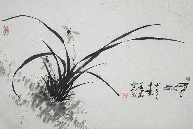 兰花的诗句赞美兰花的诗句（兰花的千古名句） 第25张
