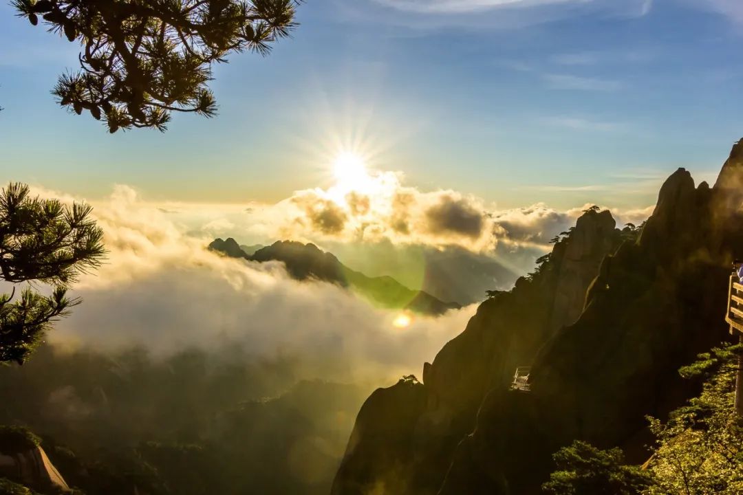 重阳节诗词有哪些（关于重阳节的诗词欣赏） 第21张