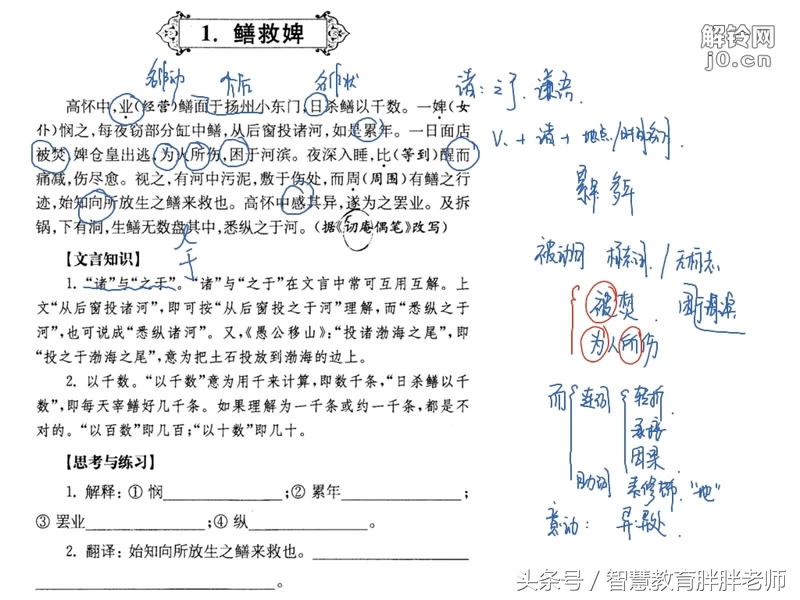 鳝救婢文言文翻译及注释（鳝救婢的启示） 第1张